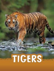 Tigers (ISBN: 9781398224995)