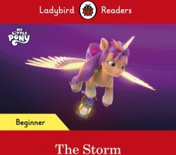 Ladybird Readers Beginner Level - My Little Pony - The Storm (ISBN: 9780241616833)
