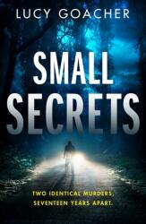 Secrete mici (ISBN: 9781662506291)