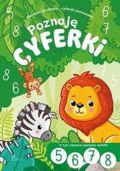 Învăț cifrele și numerele 5, 6, 7, 8 (ISBN: 9788367492164)