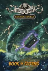 Book of Storms (ISBN: 9781398250772)