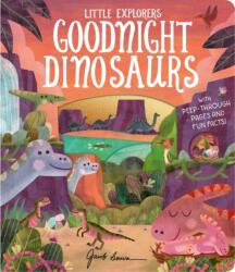 Goodnight Dinosaurs (ISBN: 9781801044905)