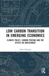 Low Carbon Transition in Emerging Economies (ISBN: 9781032393520)