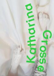 Katharina Grosse (ISBN: 9783777442464)