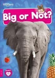 Big or Not? (ISBN: 9781805050896)