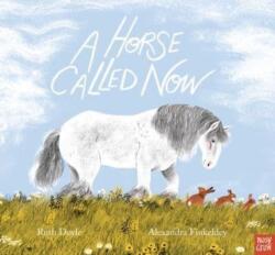 A Horse Called Now (ISBN: 9781839946851)