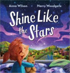 Shine Like the Stars (ISBN: 9781839131516)