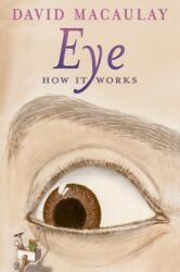 Eye: How It Works (ISBN: 9781626722132)