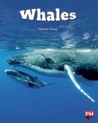 Balene (ISBN: 9780170329361)