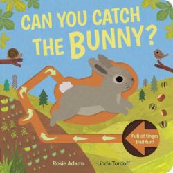 Can You Catch the Bunny? (ISBN: 9781838916008)