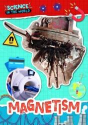 Magnetism (ISBN: 9781805053989)