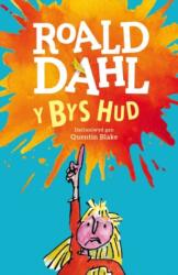Bys Hud, Y (ISBN: 9781849673457)