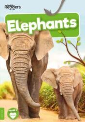 Elephants (ISBN: 9781805050643)
