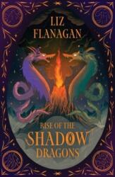 Rise of the Shadow Dragons (ISBN: 9781915235855)