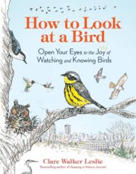 How to Look at a Bird (ISBN: 9781635866490)