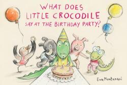 Ce spune micul crocodil la petrecerea de ziua lui? (ISBN: 9781774881576)