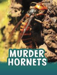 Murder Hornets (ISBN: 9781398244047)