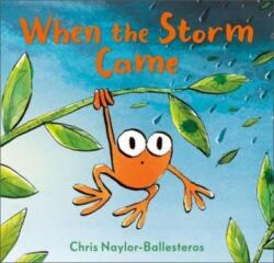 When the Storm Came (ISBN: 9781839132575)