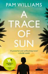 A Trace of Sun (ISBN: 9781915643353)