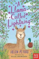 A Llama Called Lightning (ISBN: 9781839948725)