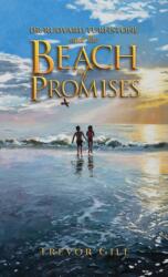 Dr Rudyard Turnstone and the Beach of Promises (ISBN: 9781035835416)