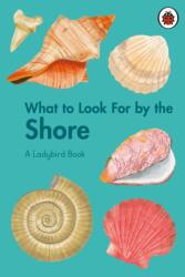 What to Look For by the Shore (ISBN: 9780241626139)
