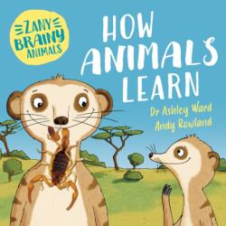 Zany Brainy Animals: How Animals Learn (ISBN: 9781526323934)