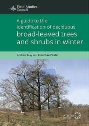 A Guide to the Identification of Deciduous Broad - Leaved Trees and Shrubs in Winter (ISBN: 9781851532070)
