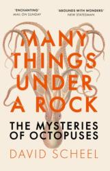 Many Things Under a Rock (ISBN: 9781529392647)