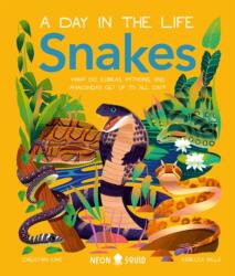 Snakes (ISBN: 9781838993269)