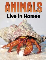 Animals Live in Homes (ISBN: 9781398250215)
