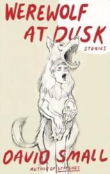 The Werewolf at Dusk: And Other Stories (ISBN: 9781324092827)