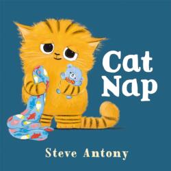 Cat Nap (ISBN: 9781035029020)