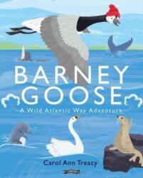 Barney Goose (ISBN: 9781788494823)