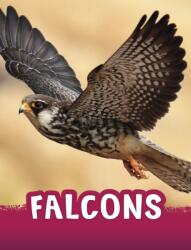 Falcons (ISBN: 9781398243965)