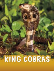 King Cobras (ISBN: 9781398244009)