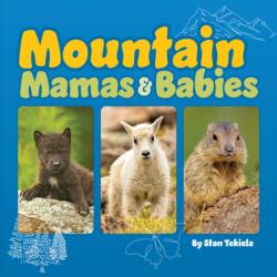 Mountain Mamas and Babies (ISBN: 9781647553593)
