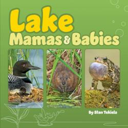 Lake Mamas and Babies (ISBN: 9781647553616)
