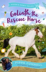 Goliath the Rescue Horse (ISBN: 9781804543207)