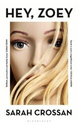 Hei, Zoey (ISBN: 9781526619822)