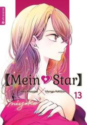 Mein*Star 13 (ISBN: 9783753925417)