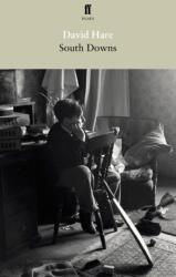 South Downs and Mere Fact, Mere Fiction (ISBN: 9780571278299)
