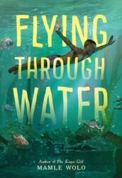 Flying through Water (ISBN: 9780316703963)