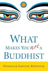 What Makes You Not a Buddhist - Dzongsar Jamyang Khyentse (ISBN: 9781590305706)