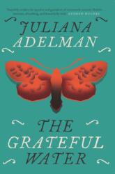 The Grateful Water (ISBN: 9781848409248)