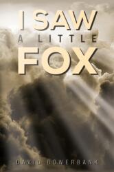 I Saw a Little Fox (ISBN: 9781035851614)