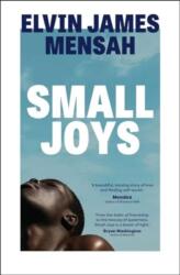 Small Joys (ISBN: 9781398514911)
