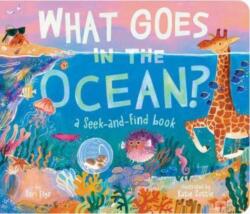 What Goes in the Ocean? (ISBN: 9781665956109)