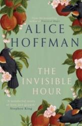 The Invisible Hour (ISBN: 9781398526211)