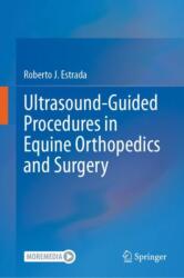 Ultrasound-Guided Procedures in Equine Orthopedics and Surgery (ISBN: 9783031175619)